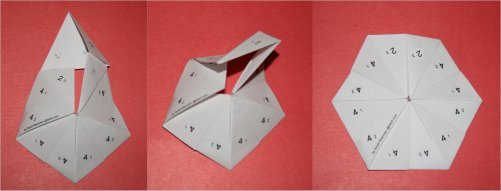 single flap flex
